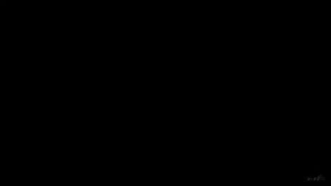 2911