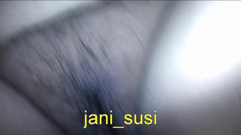 13313