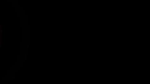 12029